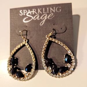 Sparkling Sage Crystal Teardrop Earrings NWT